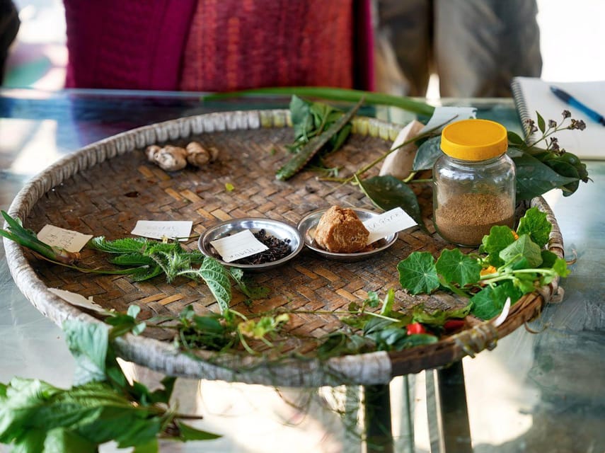 From Kathmandu: Patlekhet Permaculture Organic Farm Tour photo 3