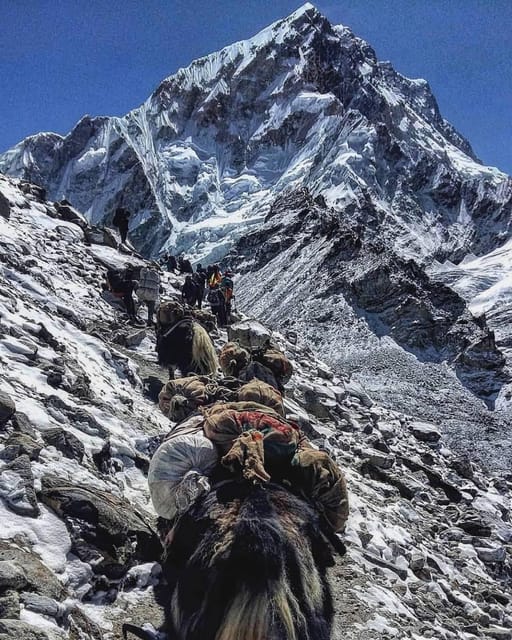 Kathmandu: Manaslu Circuit Trek 14 Day Guided Tour photo 2
