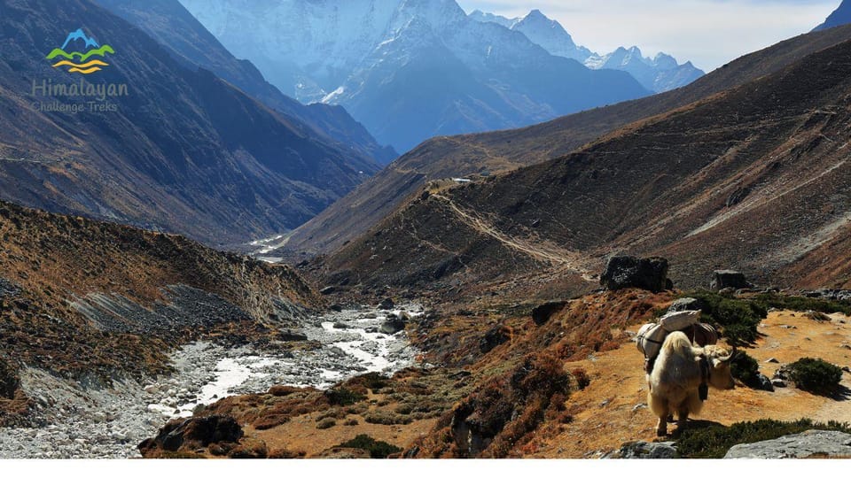 13-Day Langtang to Gosaikunda Lakes, Legends & High Trails photo 2