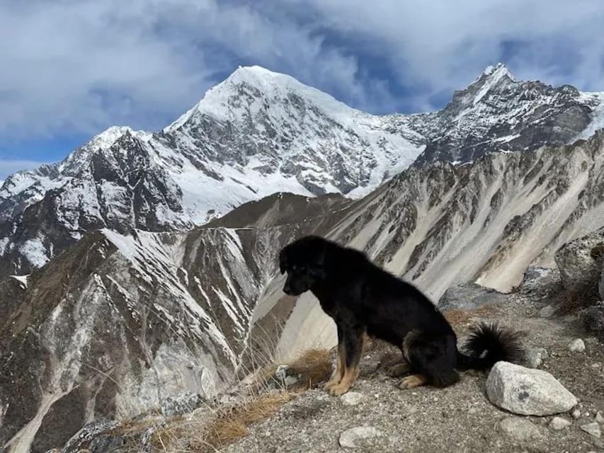 Kathmandu: Langtang Valley 6-Day all inclusive Guided Trek photo 3