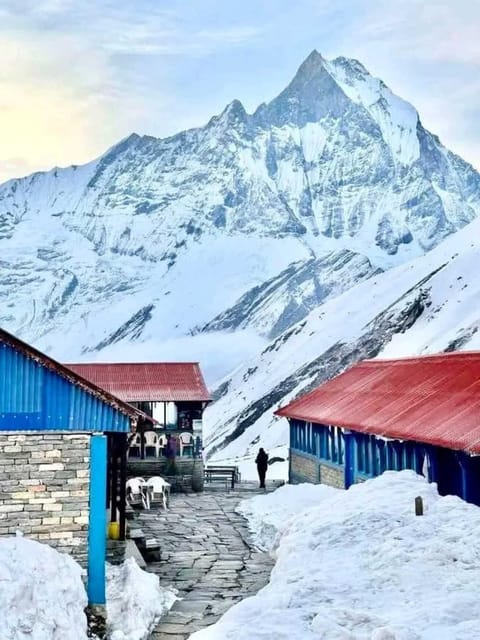 Pkr/Kathmandu: 5-Day Annapurna Base Camp & Hot spring Trek photo 5