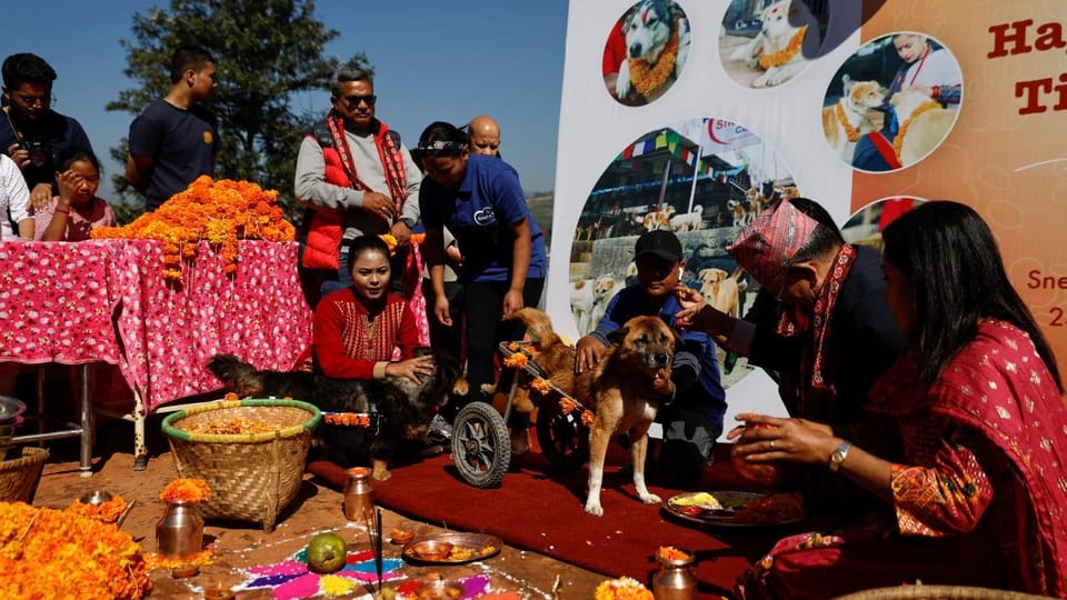 Kathmandu: Kukur Tihar Festival Tour with Local Family photo 3