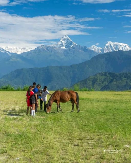 Pokhara: Full-Day Private Tour on 5 Iconic Viewpoints photo 3
