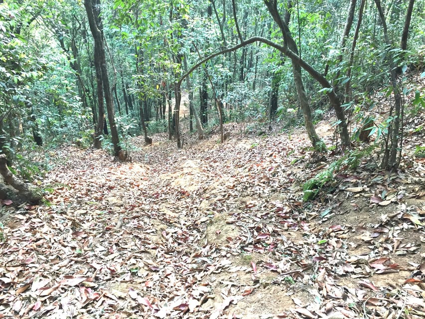 Kathmandu: 3-Day Trek from Chisapani to Nagarkot photo 3
