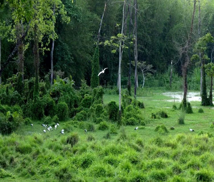 Chepang Hill Homestay Trek and Chitwan National Park Tour photo 2