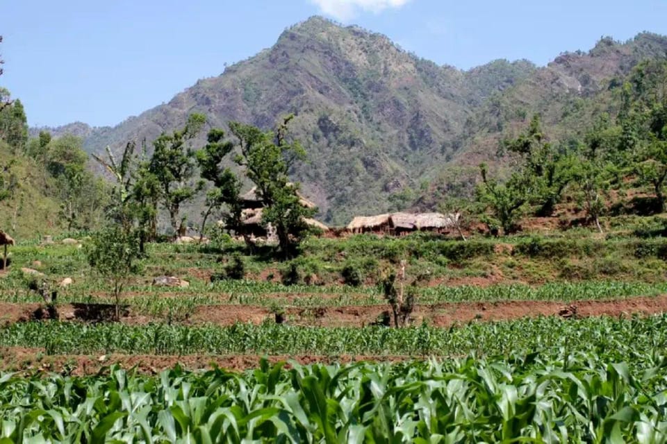 Chepang Hill Homestay Trek and Chitwan National Park Tour photo 4
