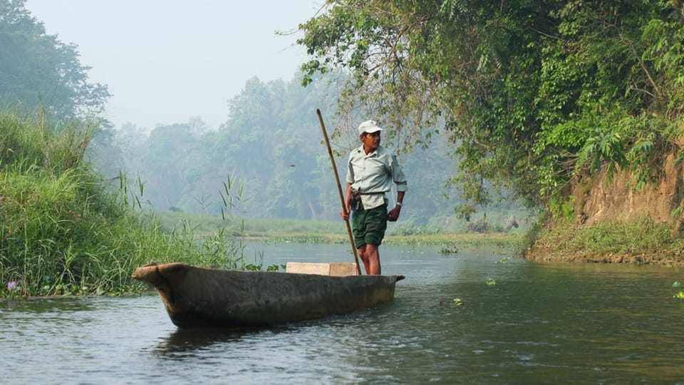 1 Day Chitwan: Jungle Safari, Canoe Ride, Tharu Dance Show photo 2
