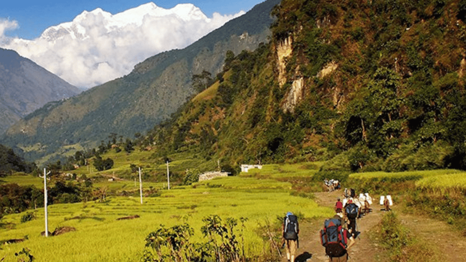 Kathmandu: Siraichuli/Chepang-Hill Guided Trek with Transfer photo 2