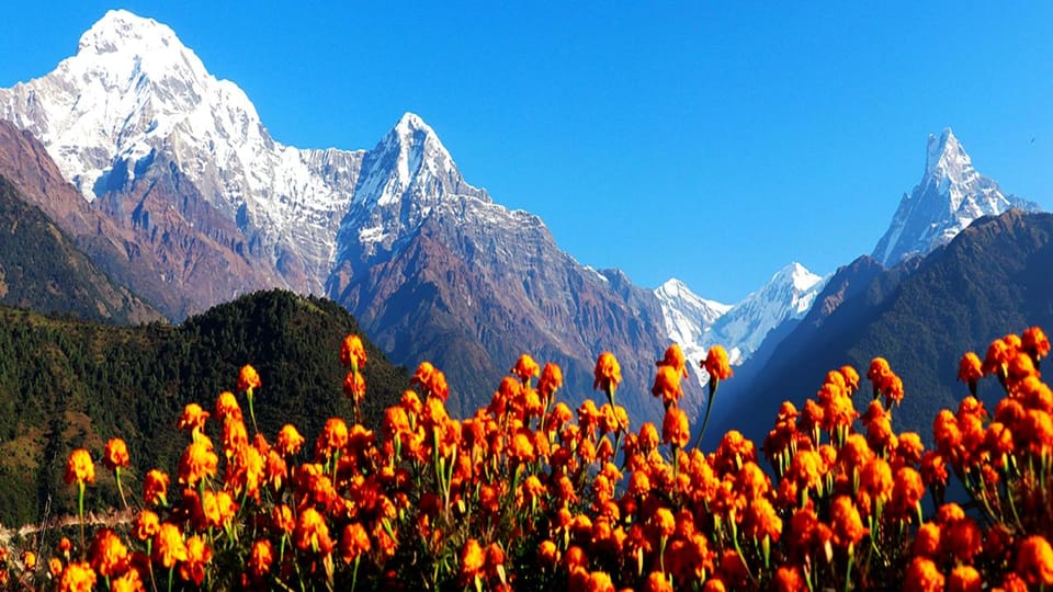 7-Day Poon Hill Trek with Guide and Accommodation photo 2