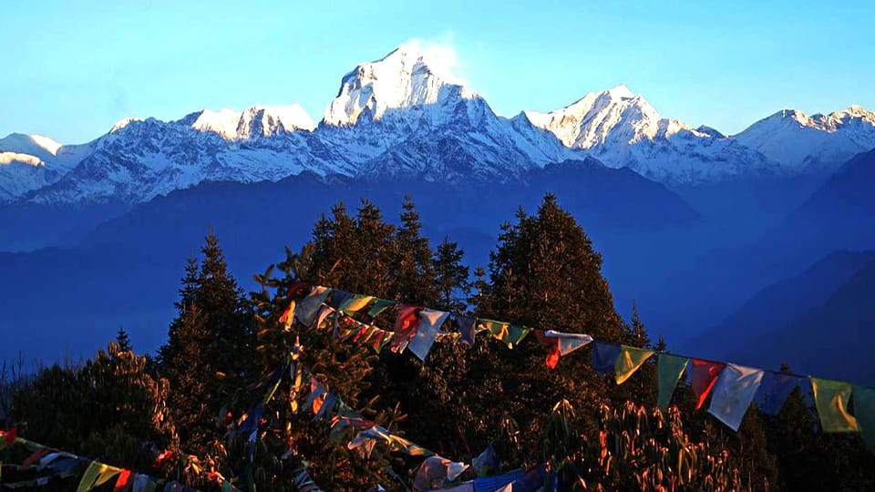 7-Day Poon Hill Trek with Guide and Accommodation photo 3