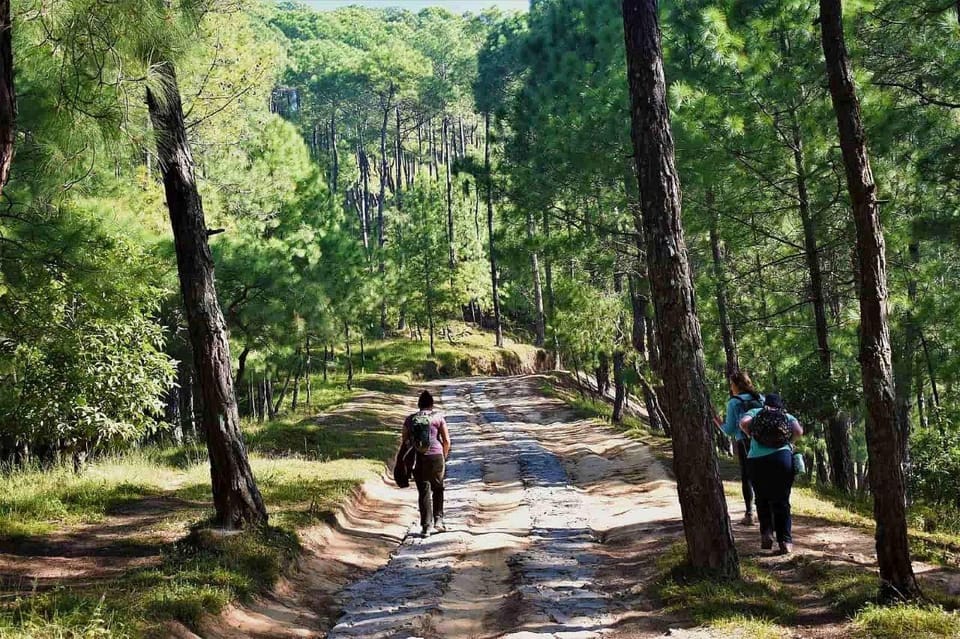 Kathmandu: Champadevi Hill Guided Hike with Pickup photo 2