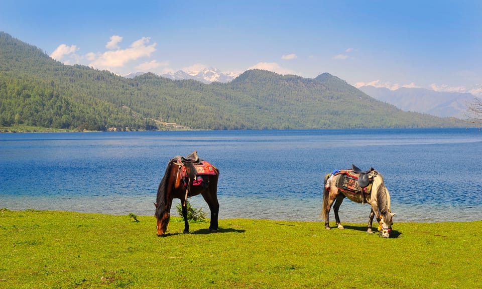 Kathmandu: Rara Lake 7-Day Tour with Flights and Meals photo 4