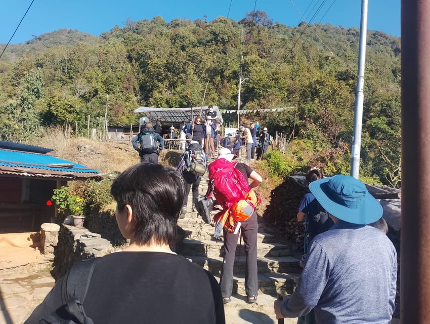 Short Day Trek: Pothana & Australian Camp from Pokhara photo 2