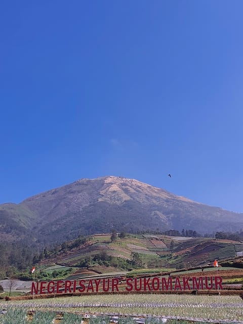 Magelang: Nepal Van Java & Negeri Sayur Sukomakmur Tour photo 2