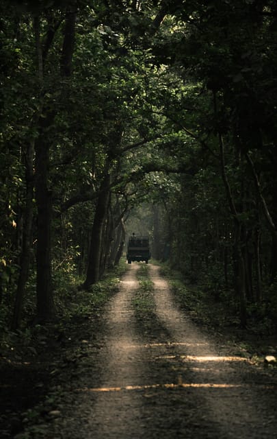 7-Day Royal Bengal Tiger & One-horned Rhino in Bardiya photo 4