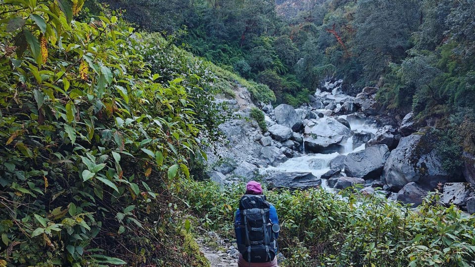 8 Day Langtang Valley Trek for Beginners photo 4