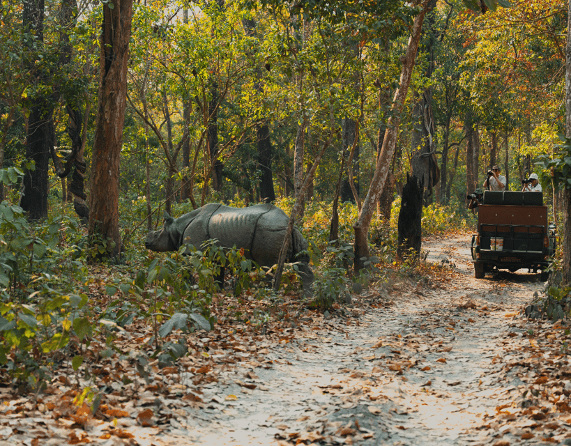 Royal Bengal Tiger & One-horned Rhino Safari in Chitwan photo 3