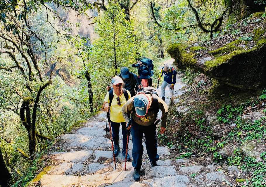 Ghorepani Poon Hill Trek with Guide photo 4