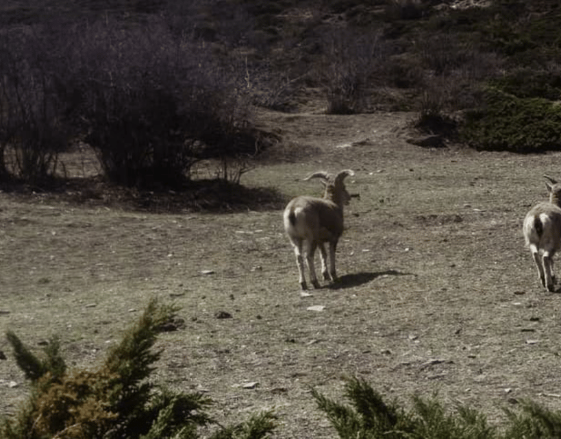 Tsum Valley Trek: 16-Day Journey to the Sacred Hidden Valley photo 2