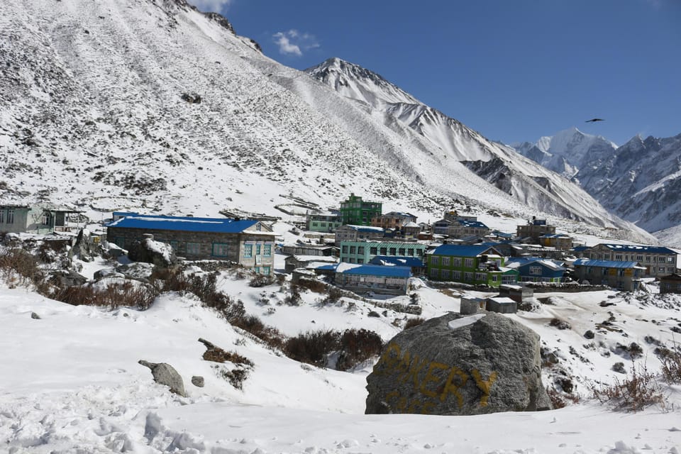 Kathmandu: 5-Day Langtang Valley Trek with Guide photo 4