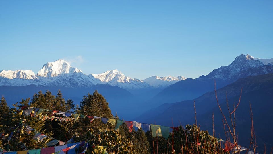 Ghorepani Poonhill Trek 8 Days photo 3