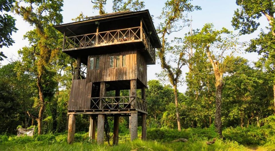 2-Night Treehouse Tower Night Stay in Chitwan National park photo 5
