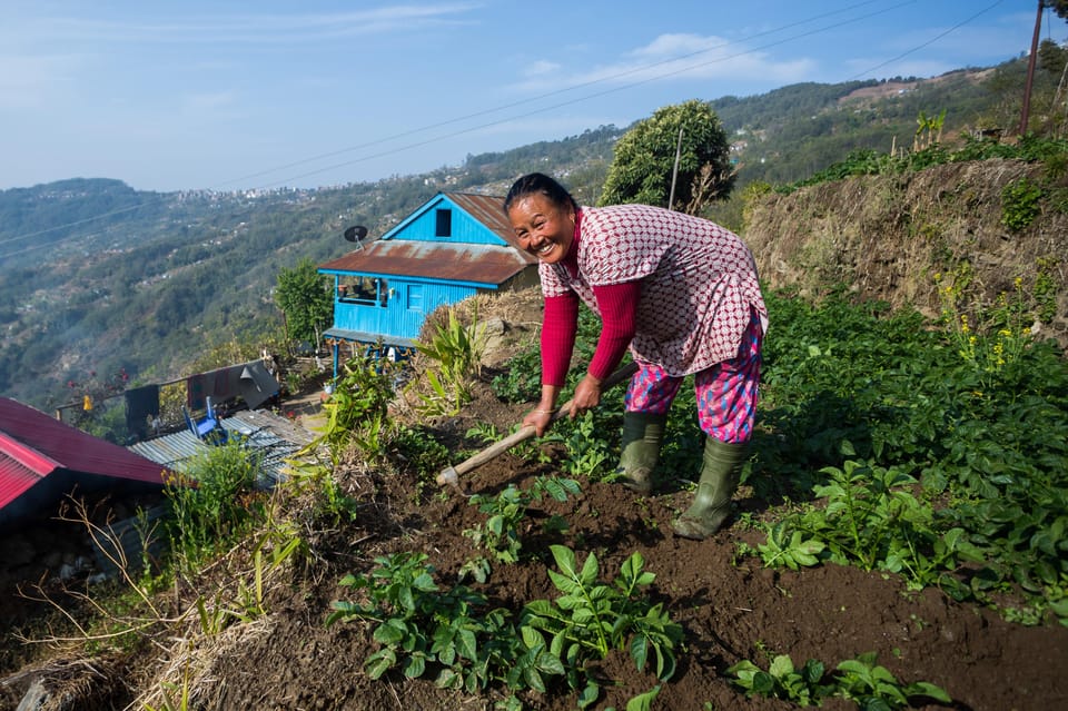 Pokhara: 2-Day Ghachok Village Tour with Homestay & Hike photo 2