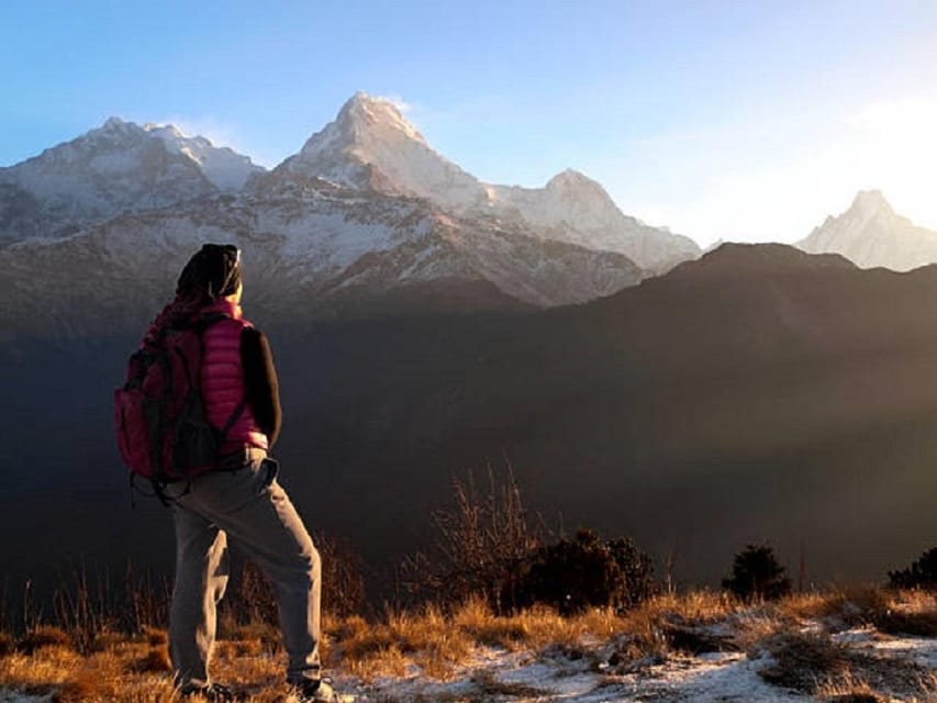 Pokhara: Ghorepani-Poon Hill Trek 2-Days/3-Days/4-Days photo 4