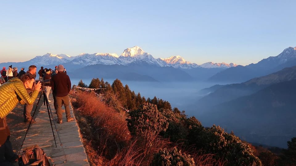 Pokhara: Ghorepani-Poon Hill Trek 2-Days/3-Days/4-Days photo 5