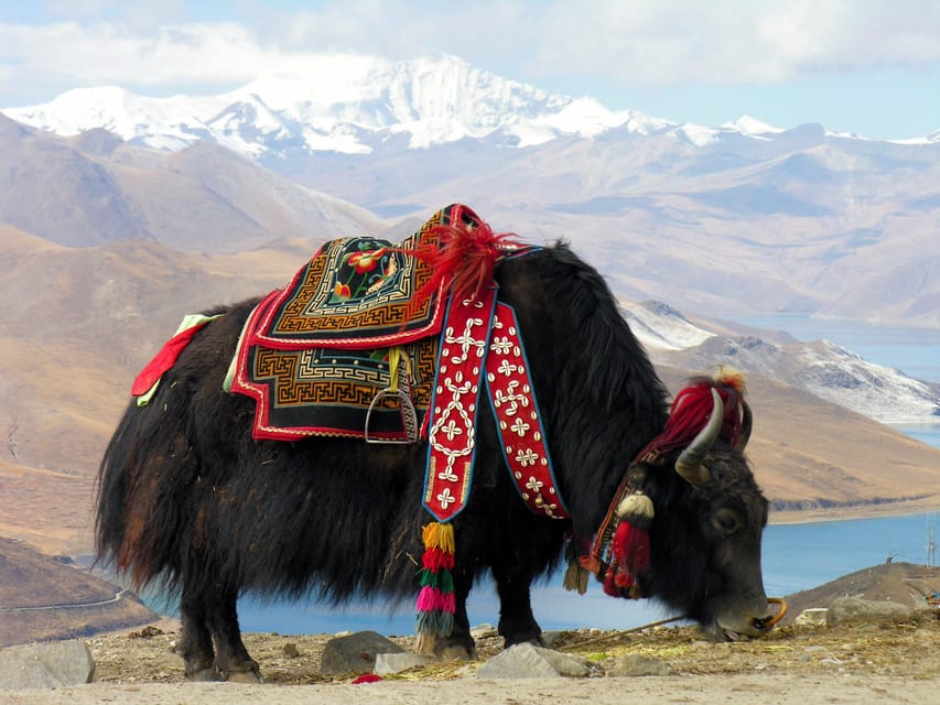 8 Days Lhasa to Everest Base Camp with Tibet Travel Permit photo 3