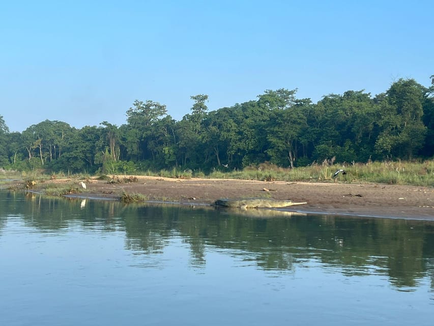 Chitwan National Park-2 night 3 days jungle safari photo 4