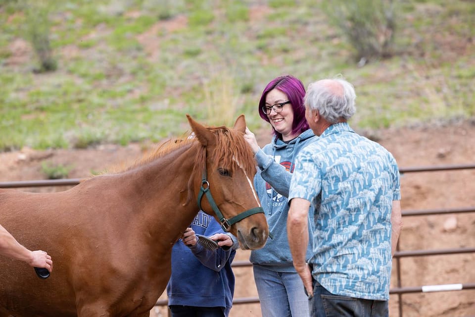 Florissant: Private Horse Experience with Rescue Mustangs photo 2
