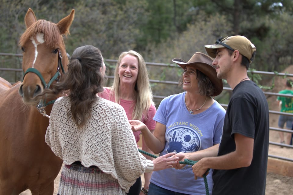 Florissant: Private Horse Experience with Rescue Mustangs photo 3
