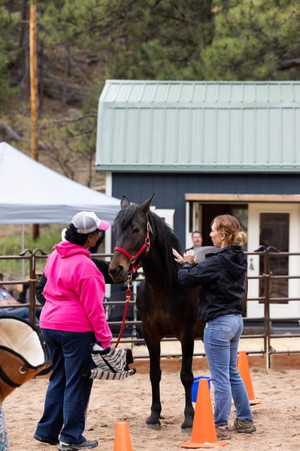 Florissant: Private Horse Experience with Rescue Mustangs photo 4
