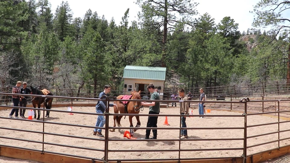 Florissant: Private Horse Experience with Rescue Mustangs photo 5