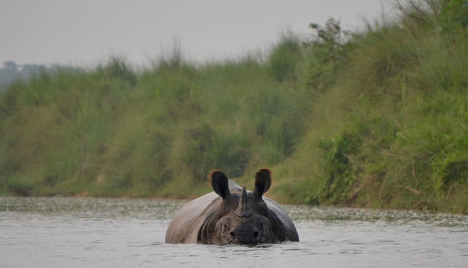 Chitwan: 3 Full Day Jungle walk with Canoeing and Tree house photo 2