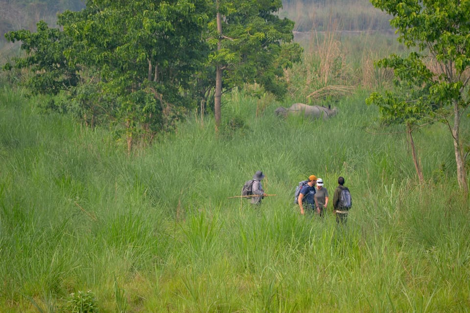 Chitwan: 3 Full Day Jungle walk with Canoeing and Tree house photo 5