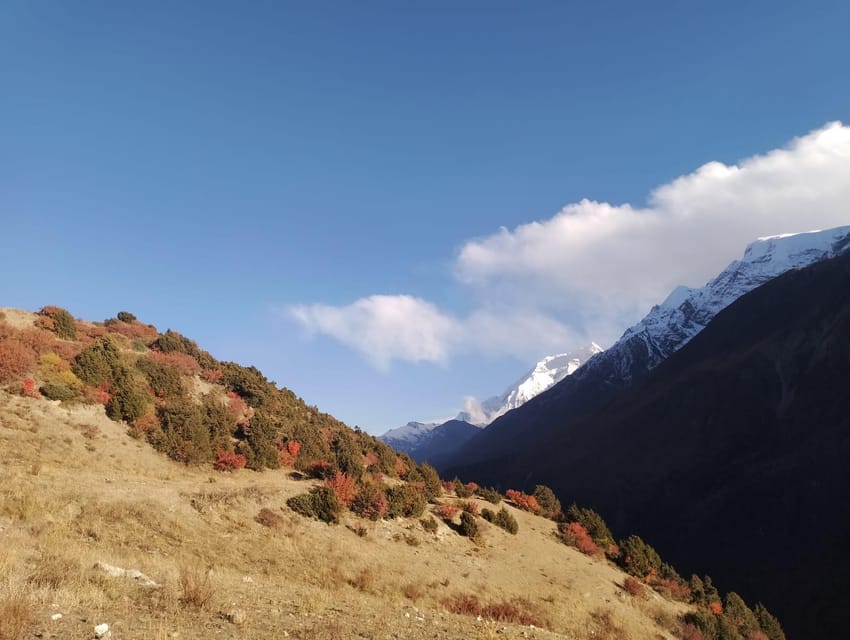 Kathmandu: Manang Scenic Jeep Tour Remote Himalaya in 6 Days photo 5