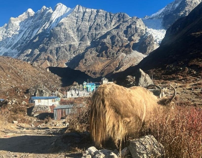 Nepal: 12 Days Yala Peak Beginner Climb with Safety Training photo 5