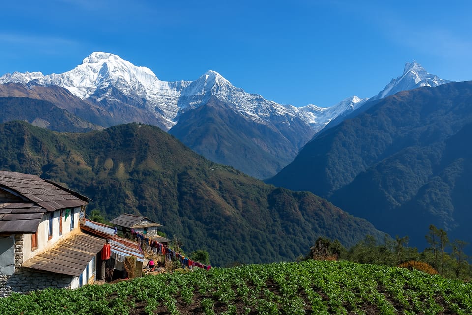 Pokhara: 5-Day Sikles & Kori Danda Trek with Meals photo 5