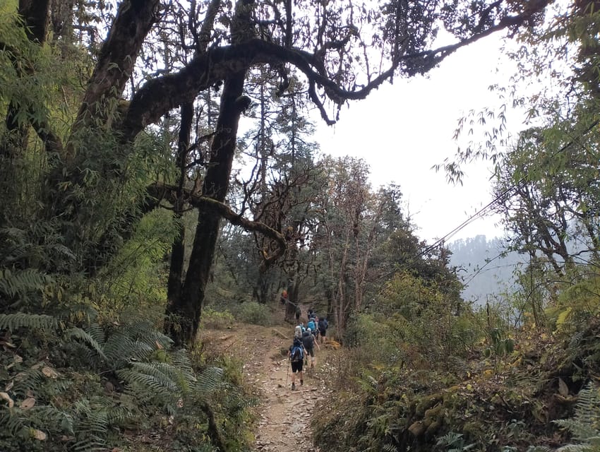 Pokhara: Mulde Hidden Lake, Annapurna Base Camp Adventure photo 3