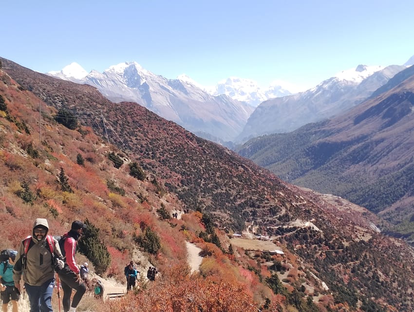 From Pokhara: Poon Hill, Ghandruk & Australian Camp Trek photo 3