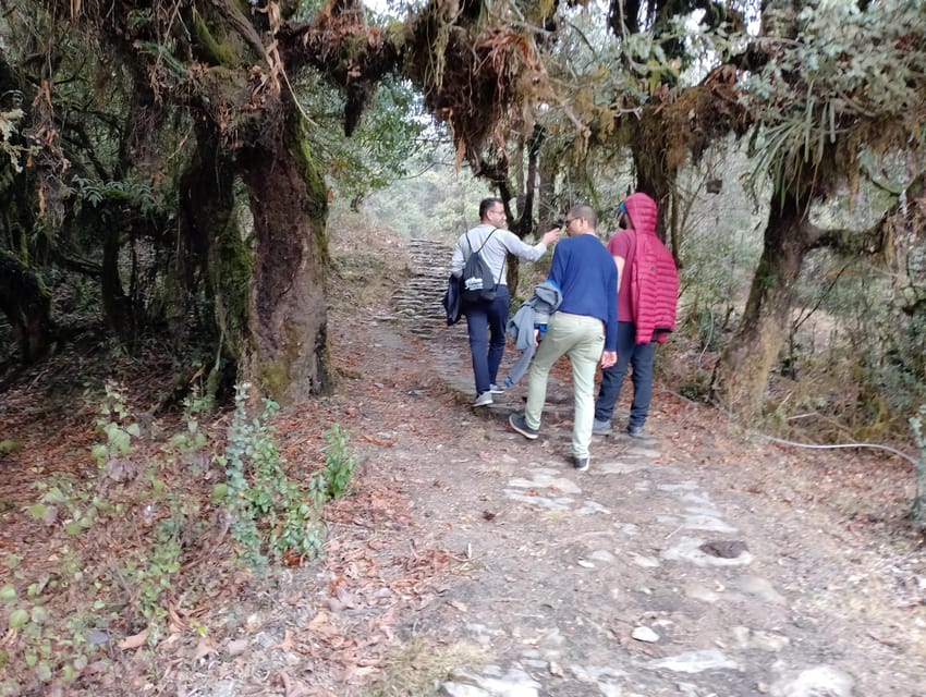 From Pokhara: Sarangkot–Panchase Heritage & Nature Trek photo 5