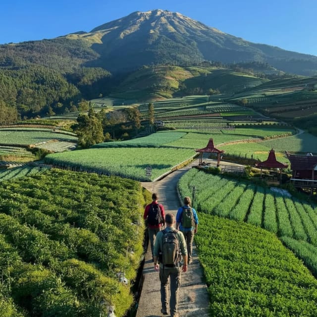 Yogyakarta: Nepal Van Java & Vegetable Village Tour photo 2