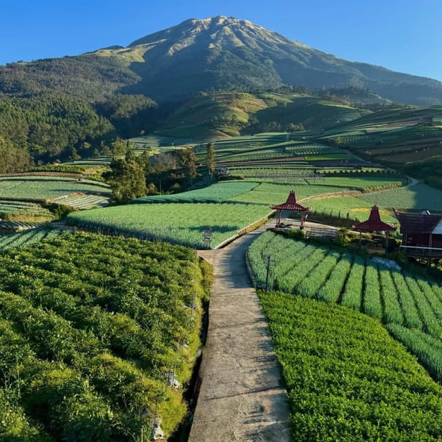 Yogyakarta: Nepal Van Java & Vegetable Village Tour photo 3