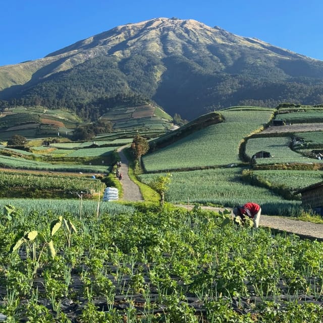 Yogyakarta: Nepal Van Java & Vegetable Village Tour photo 5