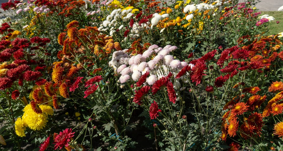 Garden & Botanical Sightseeing of Kathmandu Valley photo 2