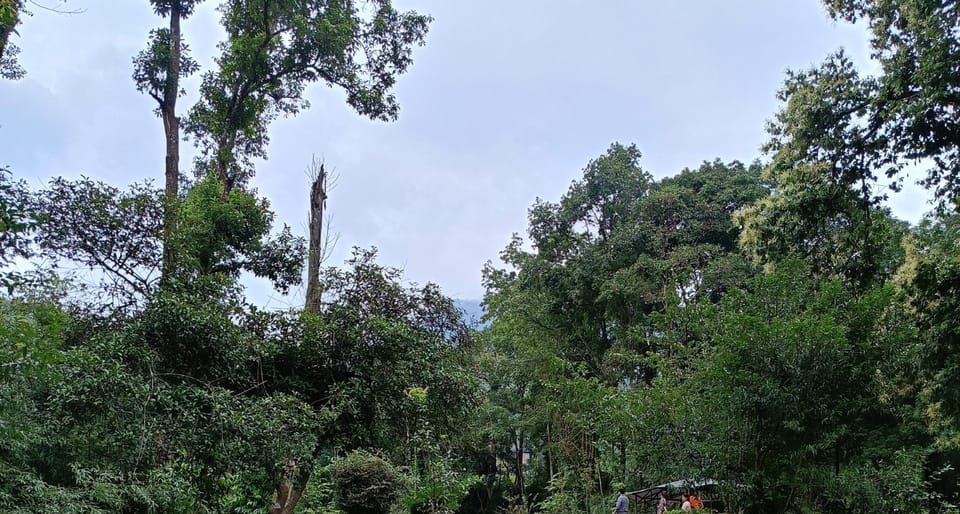Garden & Botanical Sightseeing of Kathmandu Valley photo 4