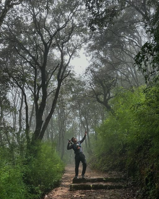 Kathmandu: Shivapuri National Park Nature Photography Tour photo 3