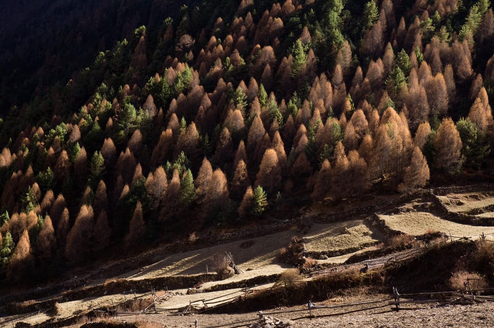 Nepal: Manaslu Circuit Trek with Guide and Permits photo 2
